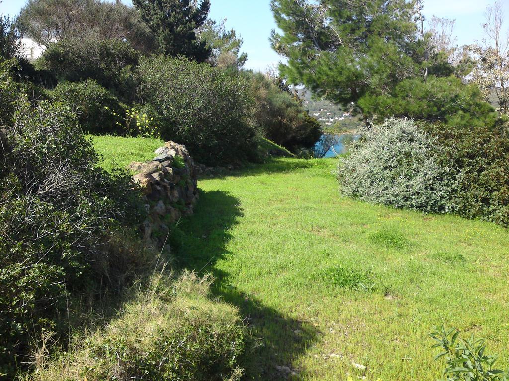Hidesign Athens Villa In Sounio Sounion Ngoại thất bức ảnh